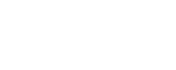 Pal Mühendislik